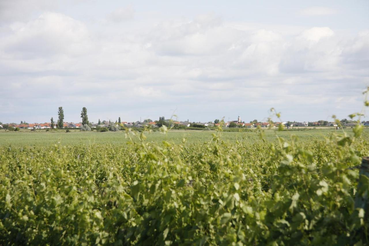 Pension & Weingut Storchenblick Illmitz Exterior foto